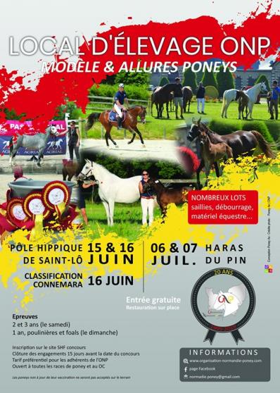 Concours local modèle & allures poneys