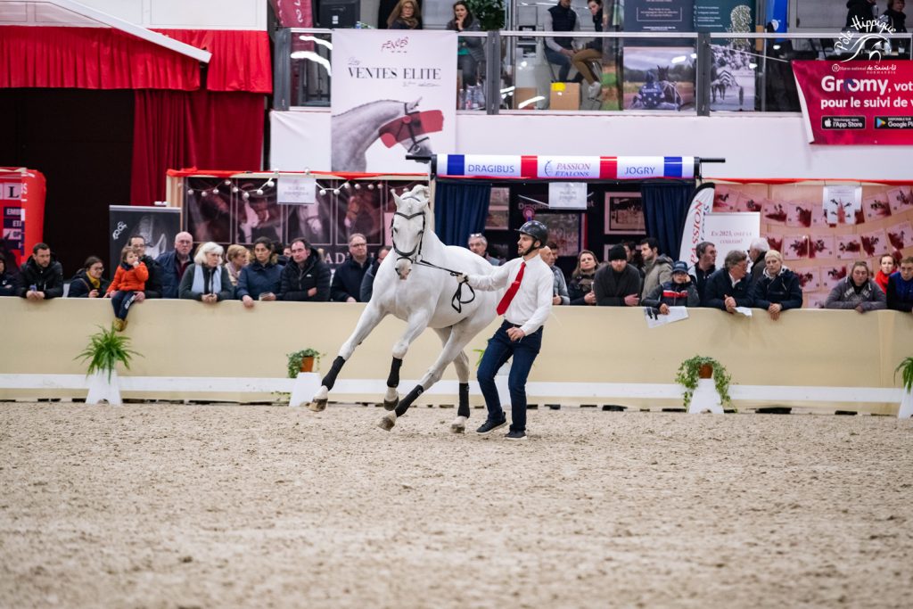 Salon des étalons de sport