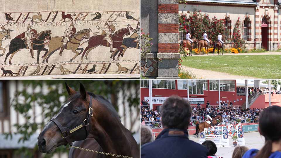 Weekend au coeur des coulisses du cheval de sport en Normandie